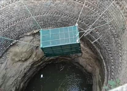 Indore: Leopard falls into a well near Indore, comes out of the well after two hours with a cage.