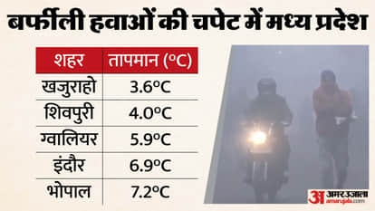 MP Weather Today: Cold wave grips Madhya Pradesh, cold wave alert issued for 7 districts.