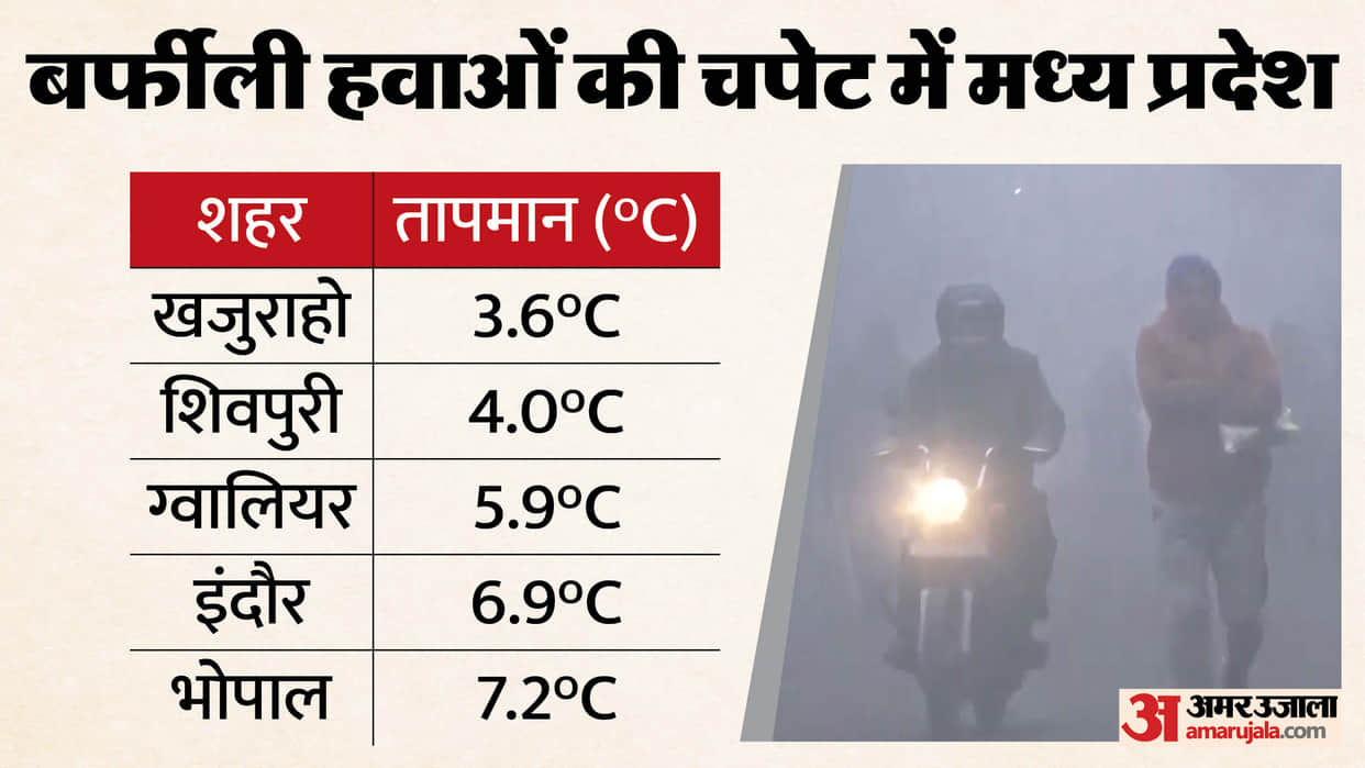 MP Weather Today: Cold wave grips Madhya Pradesh, cold wave alert issued for 7 districts.