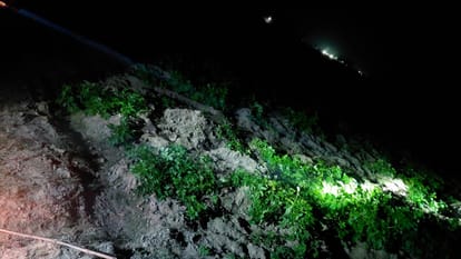 farmers troubled by stray animals they are spending the cold nights in the fields in budaun