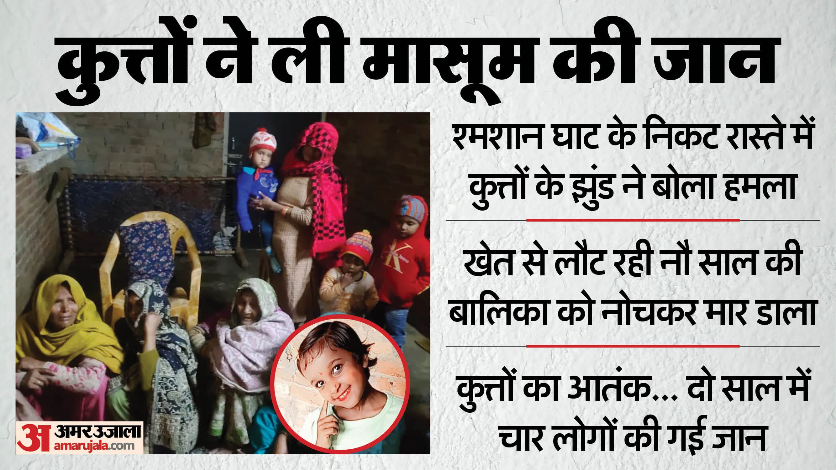 UP News: Nine-Year-Old Girl Dies After Attack by Stray Dogs in Sambhal Village