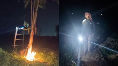 farmers troubled by stray animals they are spending the cold nights in the fields in budaun