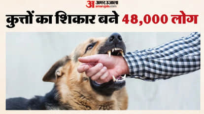 Indore News Stray dog bite cases in Indore reach 48000 in one year at Lal Hospital