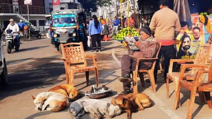 UP Weather Despite bright sunshine biting cold persists temperatures dropped Kaifiyat Down train late