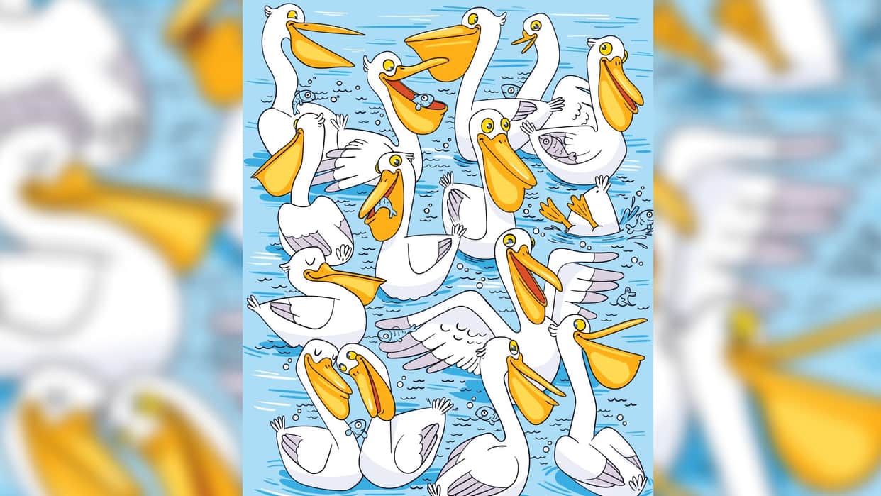 Optical Illusion iq test brain teaser image Can You Spot 10 fish Within 10 Seconds?