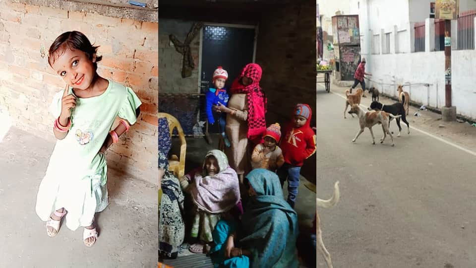 UP News: Nine-Year-Old Girl Dies After Attack by Stray Dogs in Sambhal Village