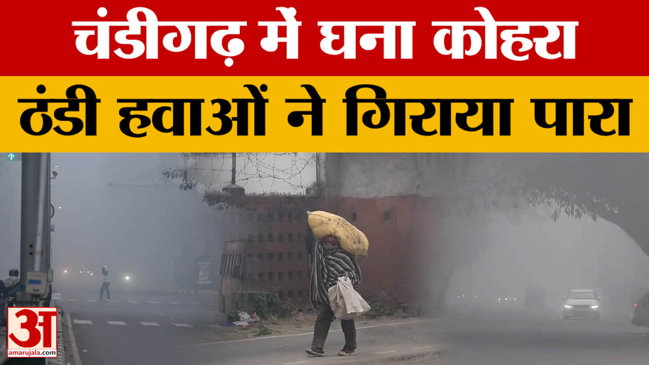 Weather Update: Chandigarh में एक बार फिर घना कोहरा छाया, कड़ाके की ठंड और गलन से लोग परेशान
