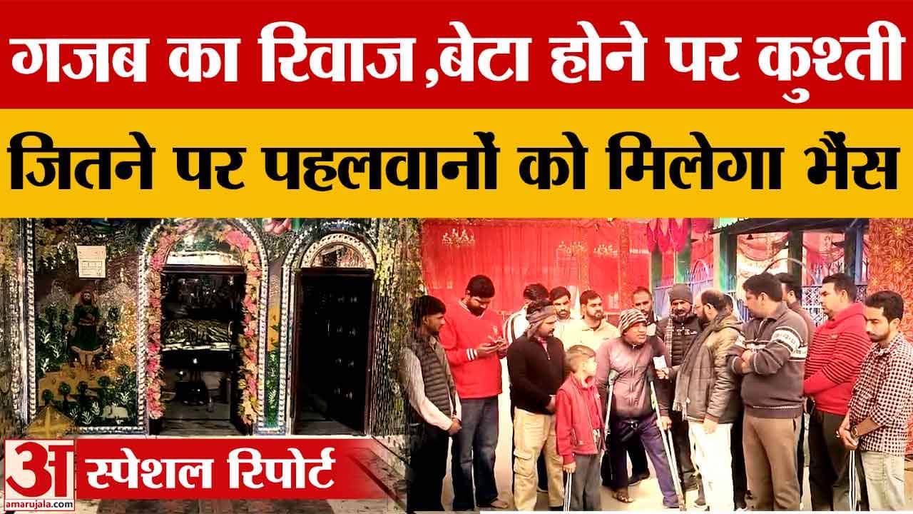 मकर संक्रांति पर कैंबवाला में ऐतिहासिक दंगल, पहली बार भैंसों का इनाम