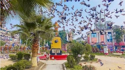 Indore News IMC starts restoration of Shastri Bridge and Regal Square to combat rat menace