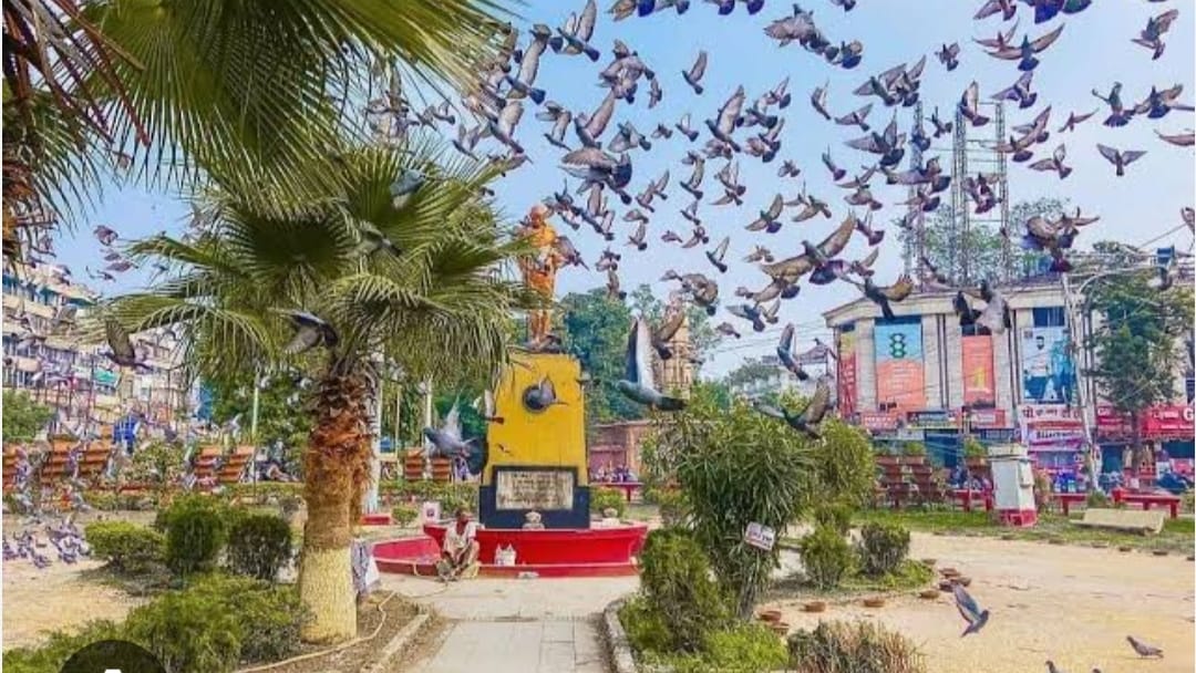 Indore News IMC starts restoration of Shastri Bridge and Regal Square to combat rat menace