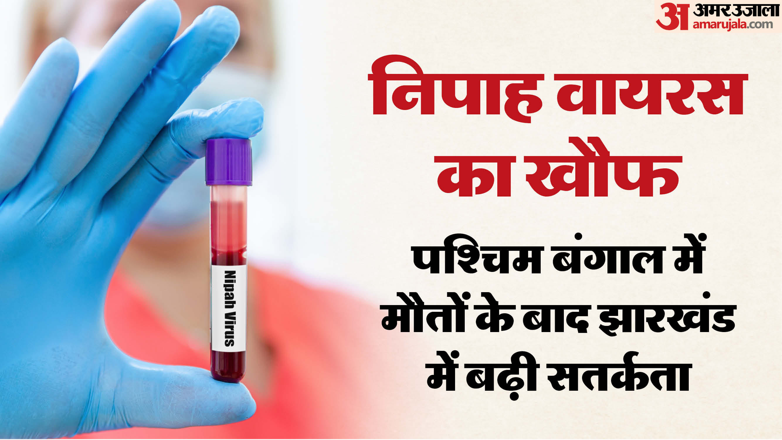 निपाह वायरस को लेकर झारखंड अलर्ट