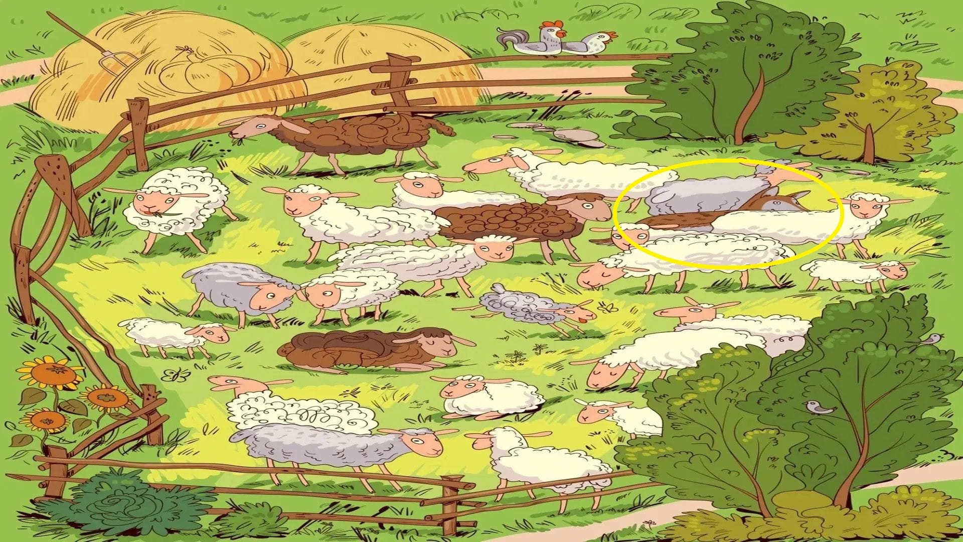 Optical Illusion Iq Test Brain Test If You Have Hawk Eyes then Find Wolf in 15 Seconds