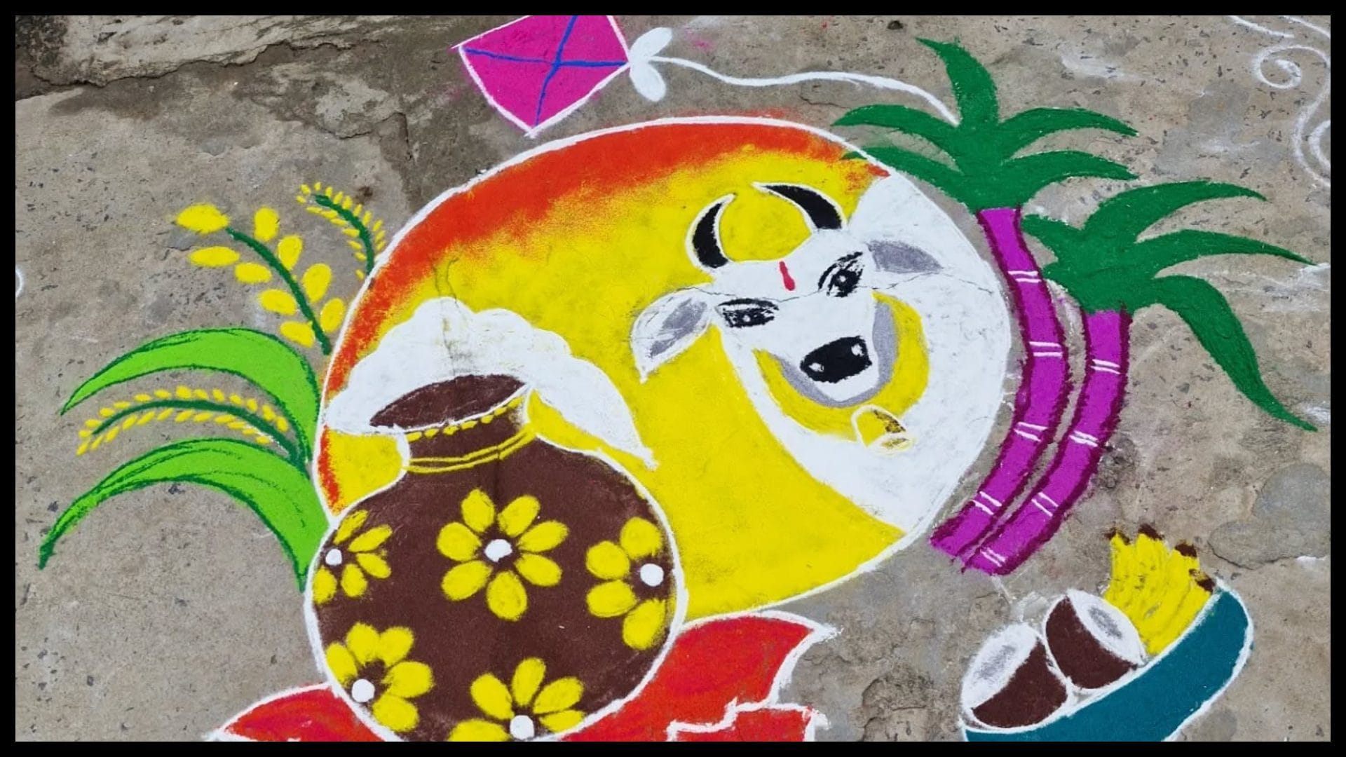 Latest Rangoli Design ideas to decorate your home this Pongal 2026