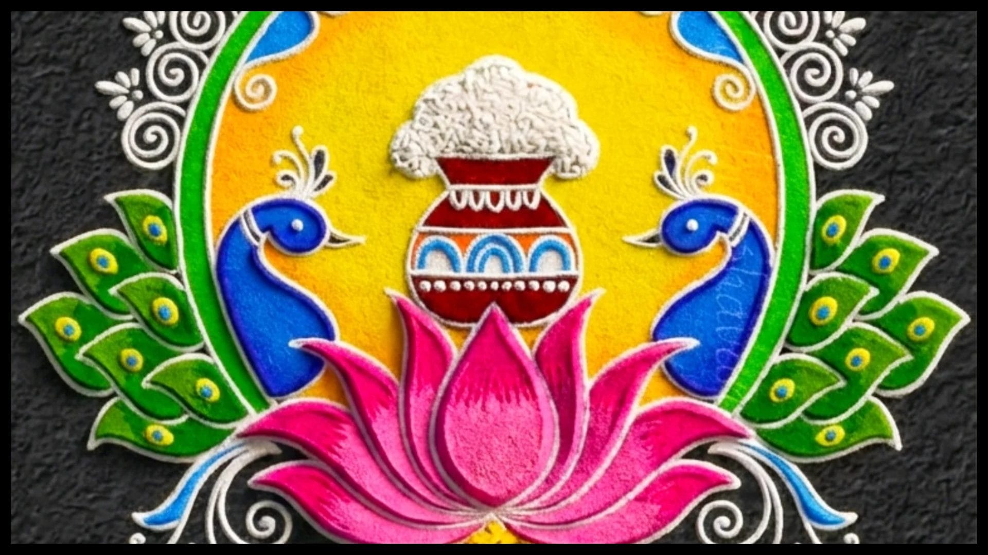 Latest Rangoli Design ideas to decorate your home this Pongal 2026