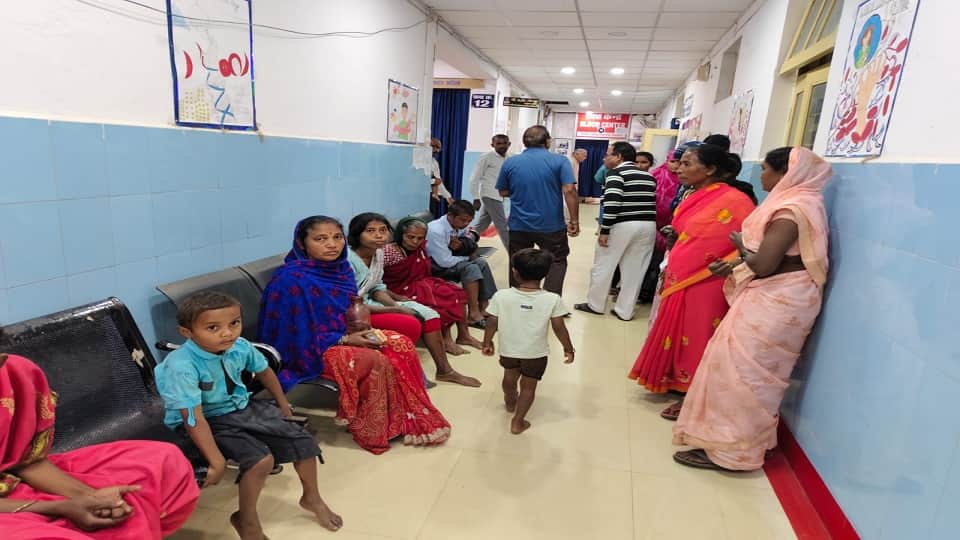 आवारा कुत्तों का आतंक