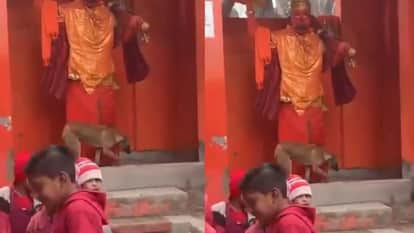 bijnor hanuman temple dog parikrama viral video