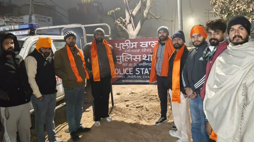 Chandigarh More than 60 cattle found dead in cowshed
