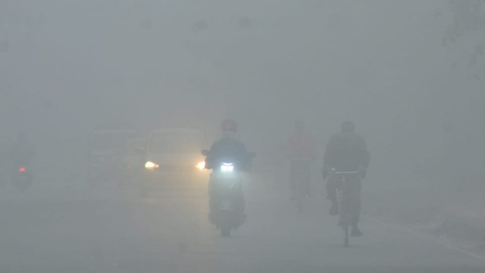 Fog wreaks havoc in Chandigarh record broken on Lohri schools closed until January 17