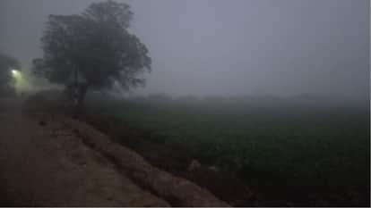 Sonipat experiences dense fog and biting cold, with the mercury dropping to 0.4 degrees Celsius