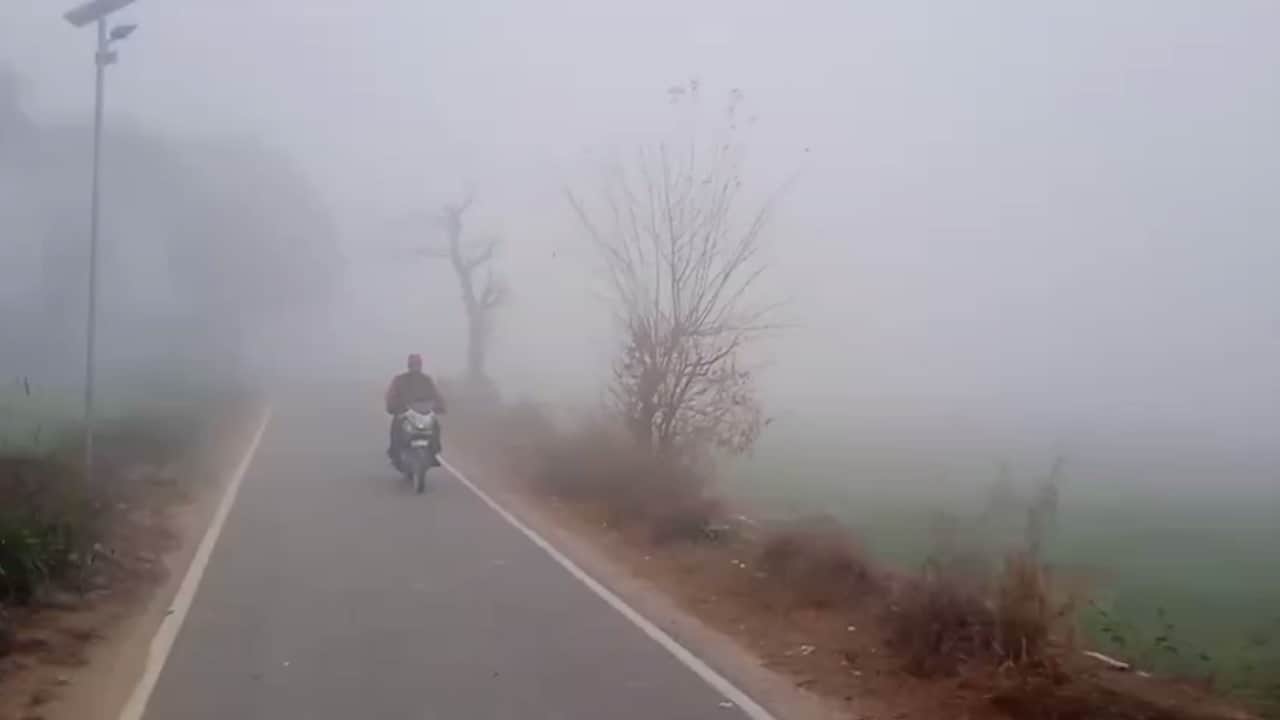 माैसम: ऊना सहित अन्य मैदानी भागों में कोहरे ने बढ़ाई परेशानी।