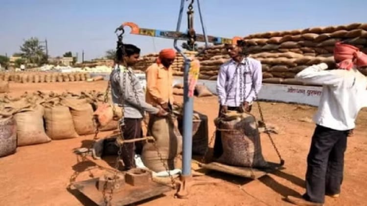 CG: छत्तीसगढ़ में धान खरीदी का आंकड़ा 102 लाख मीट्रिक टन पार, किसानों को 24 हजार 265 करोड़ रुपये का भुगतान