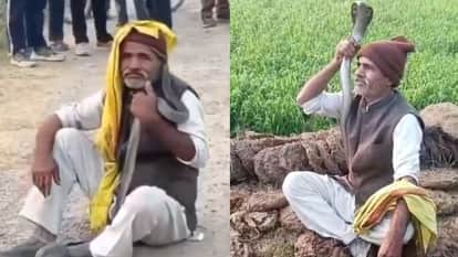 Saanp Ka Video: king cobra snake attack hood spread bit man dies terrifying video rampur