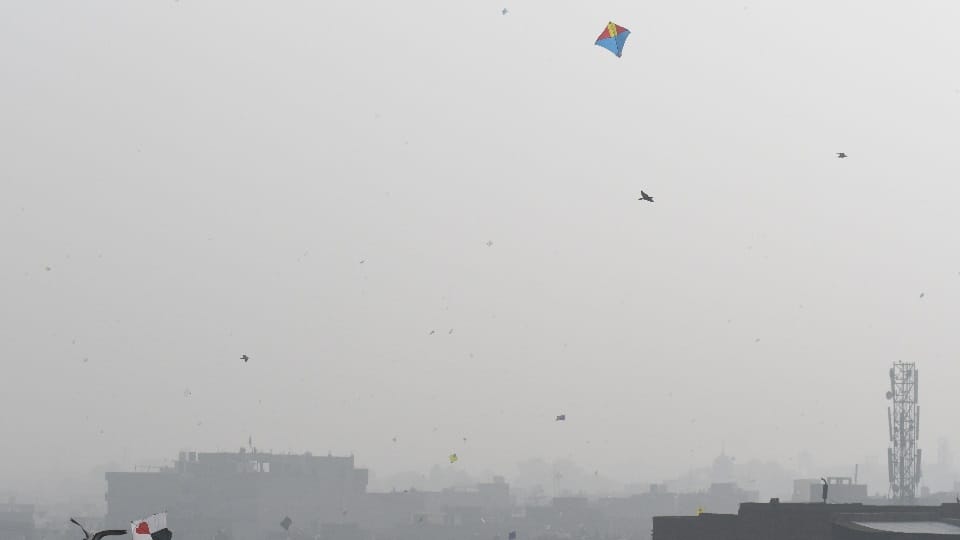 चाइना डोर