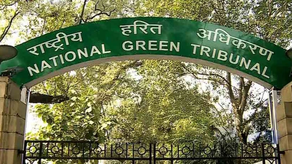MP News: NGT strict on contaminated water in Rajasthan, UP and MP; seeks reply on sewage in drinking water