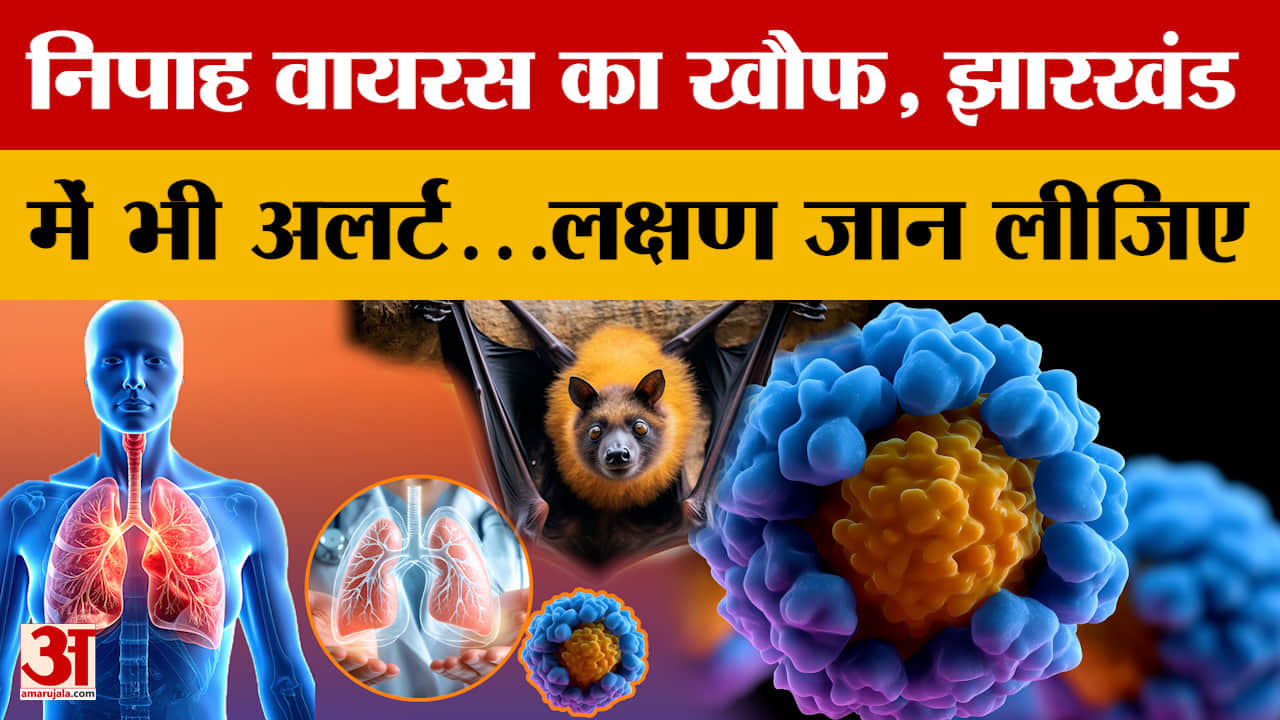 Nipah Virus: निपाह वायरस का खौफ, झारखंड में भी अलर्ट...जानिए लक्षण और कैसे फैलता है ये वायरस | Jhark