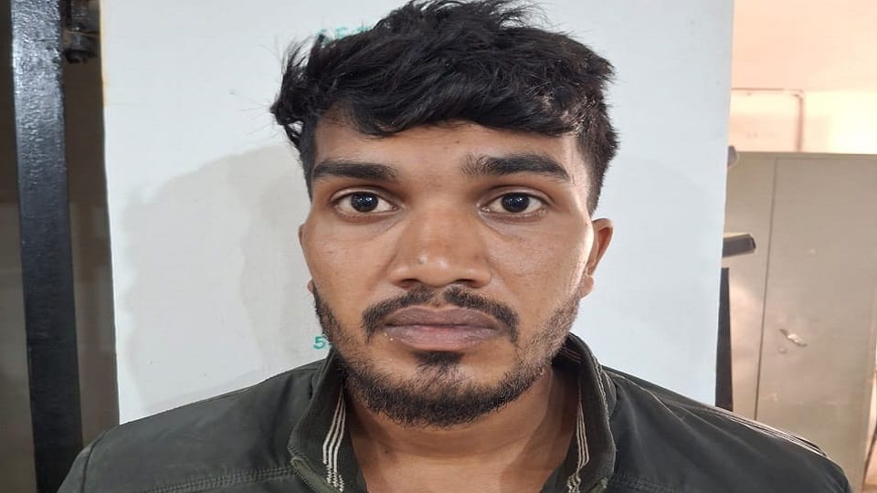 Cold storage manager arrested from Raigarh accused of illegal sale of mahua and arson in Ambikapur