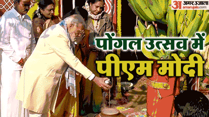 PM Modi Pongal L Murugan House Cow Worship and other cultural activities hindi news updates