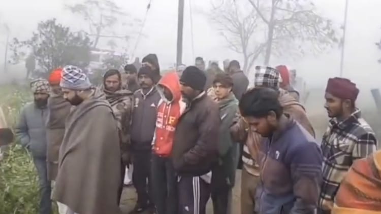 Firozpur: गुरुहरसहाए में लोहड़ी की पार्टी से लाैट रहे युवक पर आवारा कुत्तों का हमला, नोचकर मार डाला