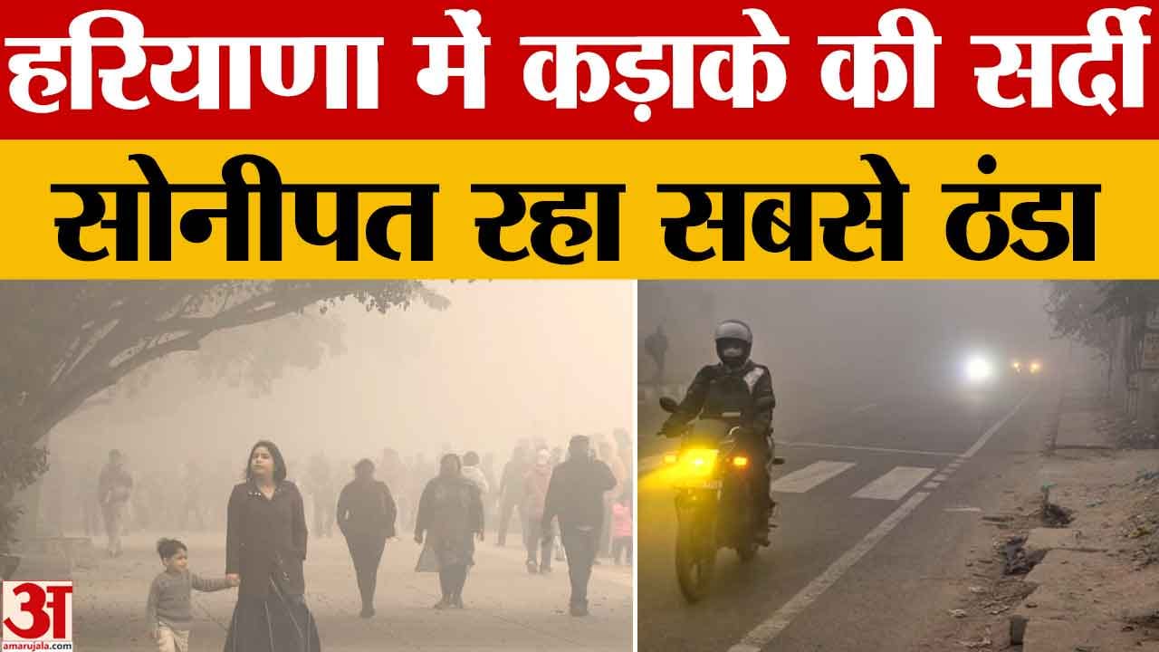 कड़ाके की ठंड और घने कोहरे से ठिठुरा सोनीपत, न्यूनतम तापमान 1.4°C