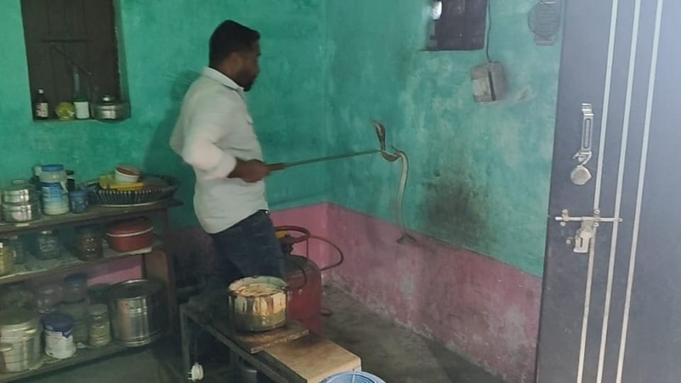 टीम ने किया रेस्क्यू