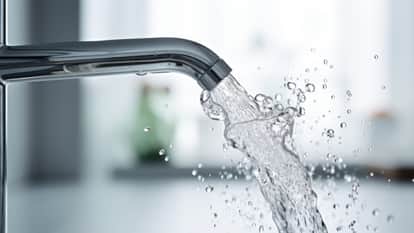 animal never drinks water kangaroo rat interesting facts in Hindi