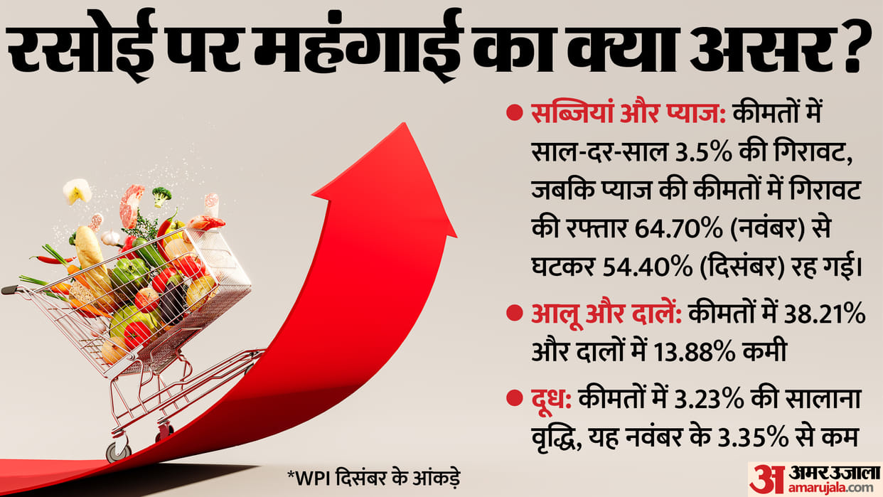 WPI Wholesale Inflation Wholesale Price in India for the Month of December News in Hindi