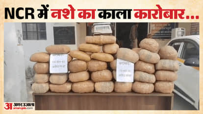 Knowledge Park police arrested 3 smugglers with 102 kilograms of illegal cannabis