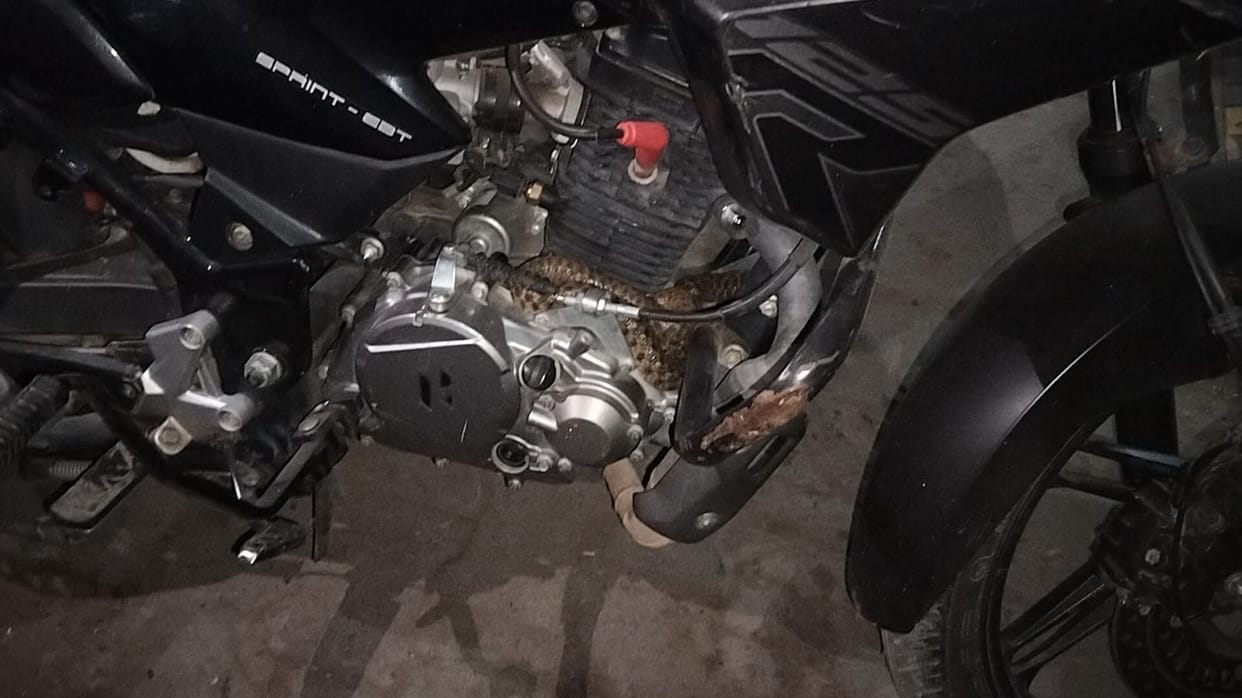 Snake Found Inside Bike in Sakit, Rider Panics and Abandons Vehicle