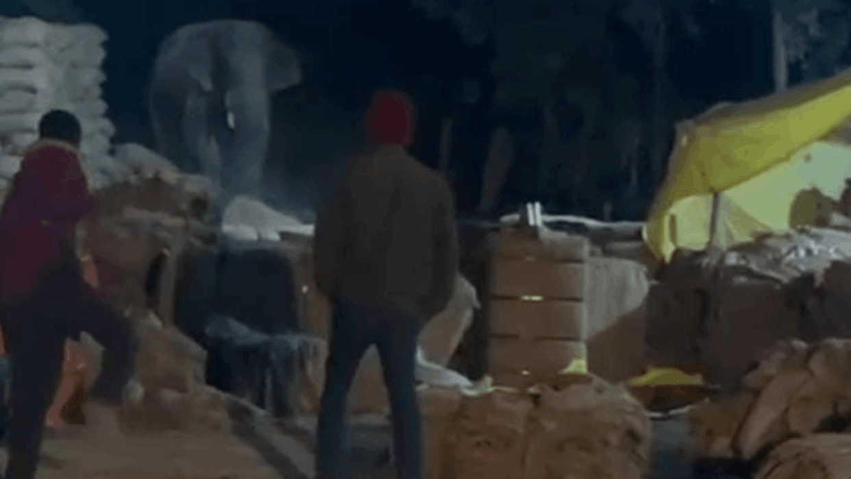 Elephants cause panic at Chachiya paddy procurement center.