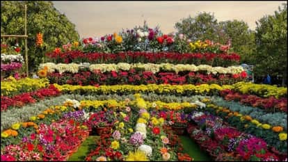 Ahmedabad Biggest Flower Festival 2026 Sabarmati travel Guide