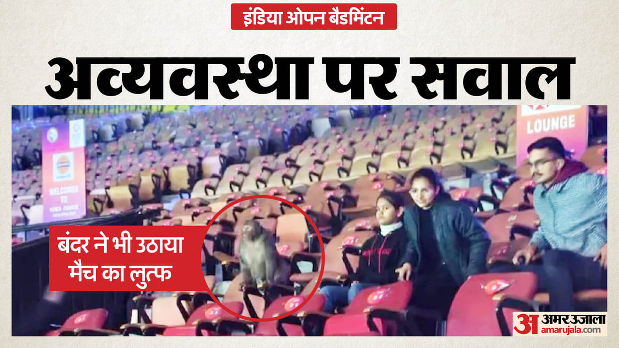 Monkey Spotted Inside India Open Venue After Pigeon-Droppings Controversy