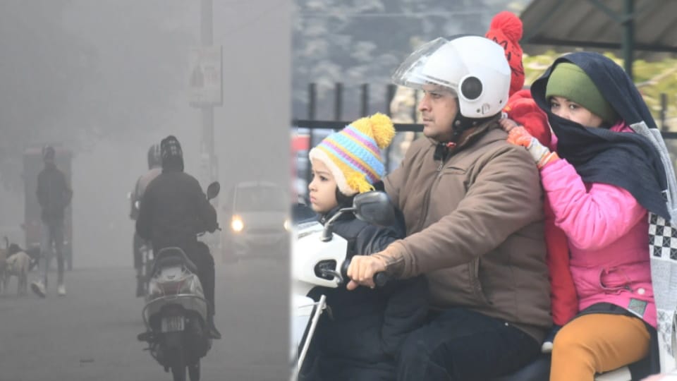 Weather Update Meerut: Cold Wave Persists on Makar Sankranti, Chilling Weather Disrupts Daily Life