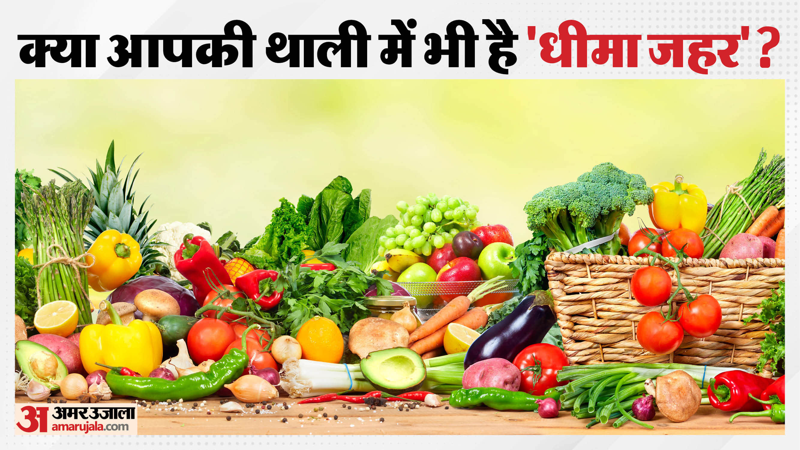 नाले के दूषित पानी से उगाई जा रही सब्जियों पर हाईकोर्ट सख्त।