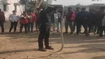 Snake outing causes panic