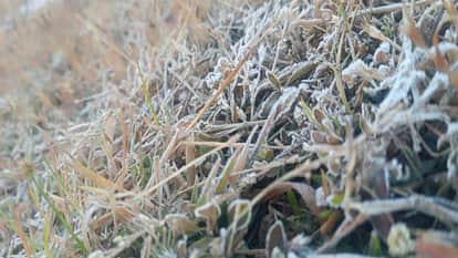 Cold wave grips Surguja division alert issued in six districts frost in plateau regions