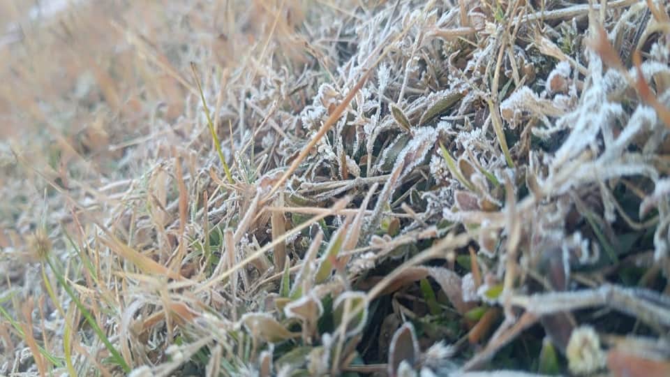 शीतलहर का कहर