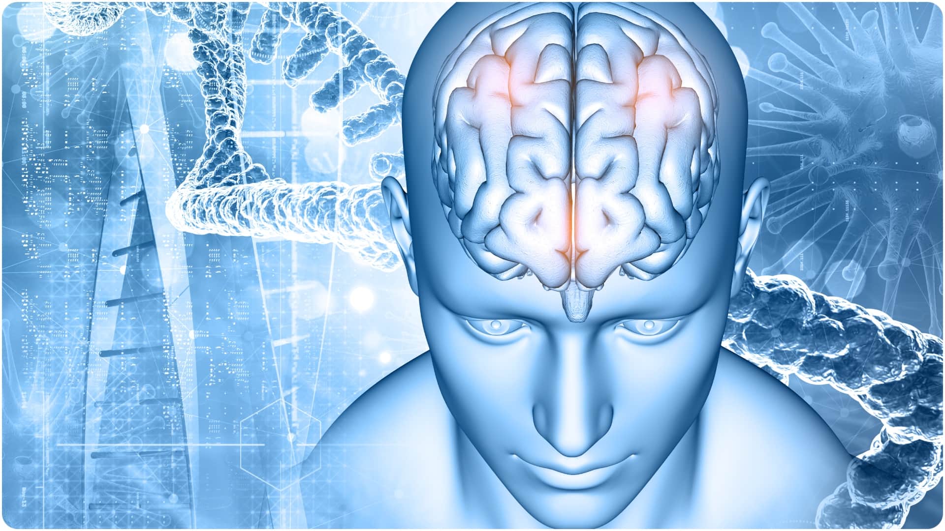 High BMI or Being overweight could increase the risk of alzheimer and dementia