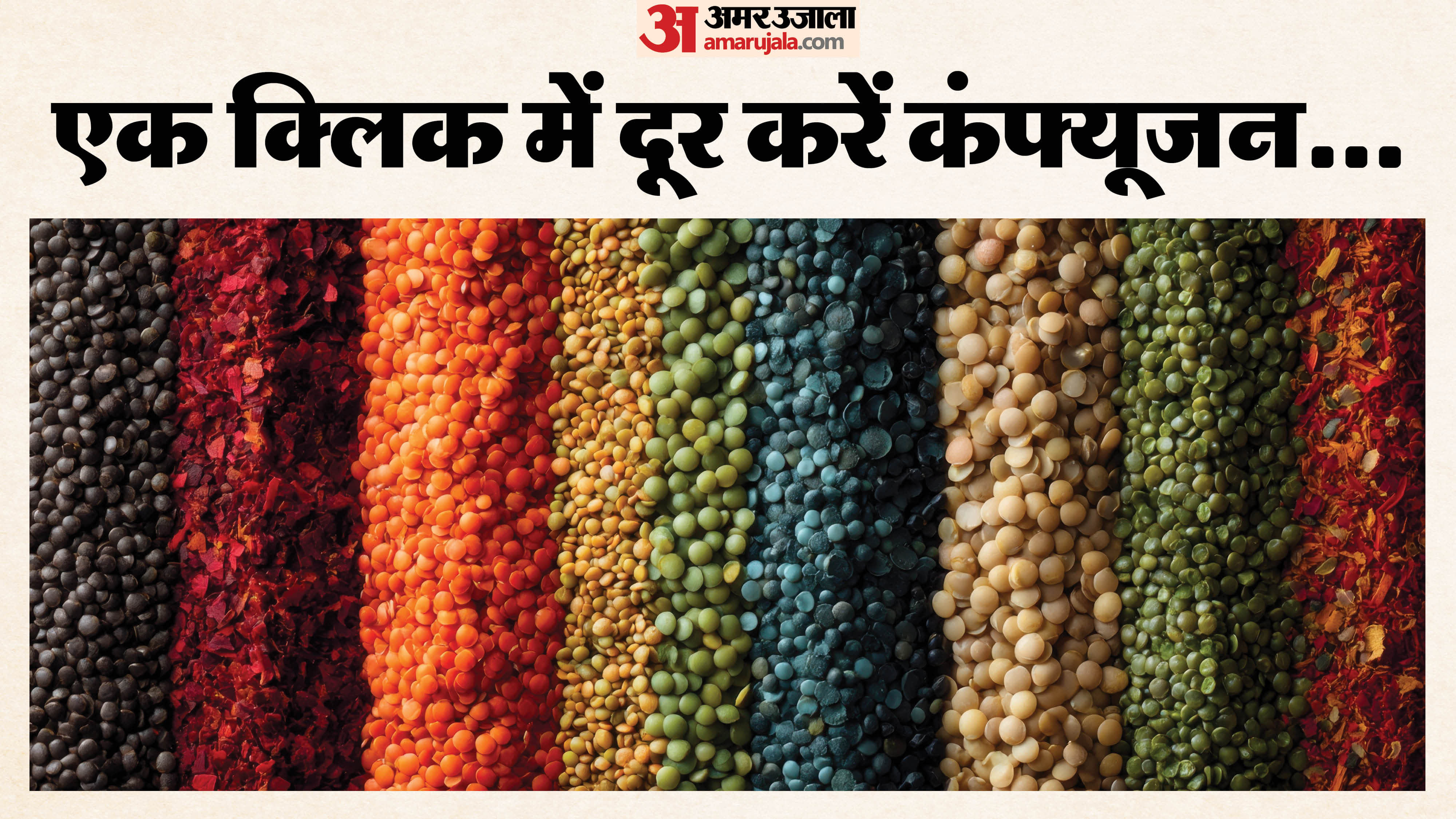 Famous Pulses Name With Images Dal Identification Details in Hindi