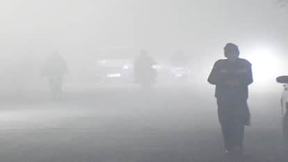 West UP Weather Update: Dense Fog Disrupts Daily Life, Traffic Crawls on Delhi-Dehradun Highway