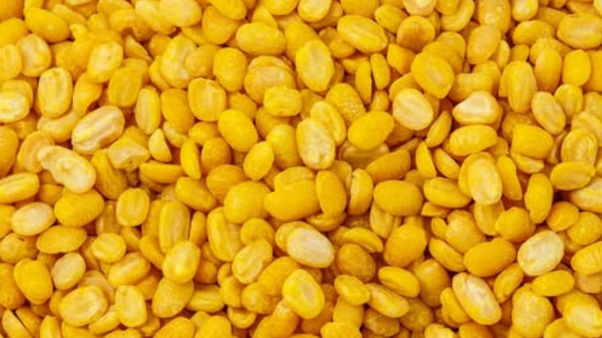 Famous Pulses Name With Images Dal Identification Details in Hindi